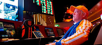 Вход на зеркало Casino Cat